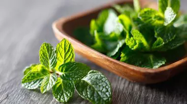 garnishing-instructions-image